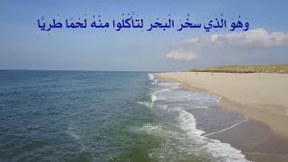 معنى سخر البحر - حلقة 24 - الموسم 1 ( تقديم : أحمد طلب)