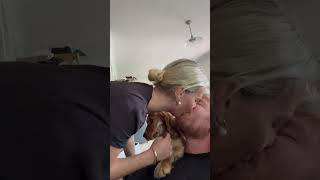 Cocker Spaniel Dog Shows Jealousy During Parental Kiss