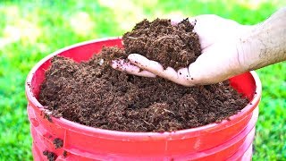 5 Benefits of Coconut Coir in Gardening