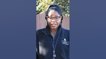 Code Enforcement | Clean and Lien