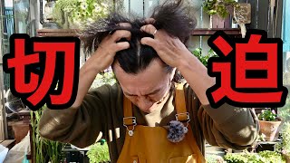 めんくん Excuse me for going first] Gardening fanatic starts