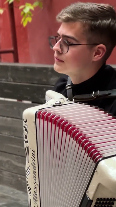French waltz musette on accordion