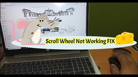 How to Fix Scroll Wheel Not Working on Any Mouse | Fix Wireless or USB Mouse Scroll Issues