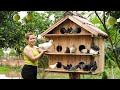 New Beginnings: Daughter&#39;s Return and Building Pigeon Farm | Free New Life