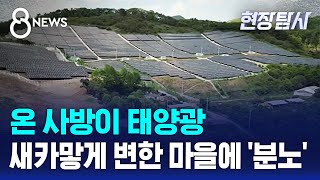 산으로 가는 태양광…'명품마을'도 발칵 / SBS 8뉴스 / 현장탐사