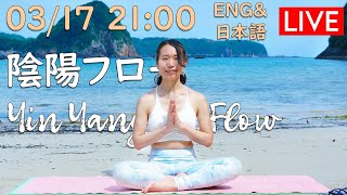 【LIVE!】陰陽フロー Yin Yang Flow in 日本語 and English #521 | Megumi Yoga Tokyo