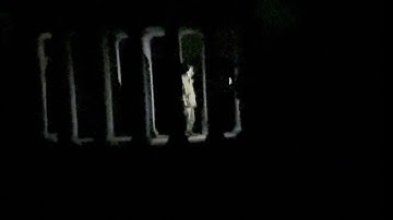 //Хиерофант// no. 2 [AFTERLIFE]