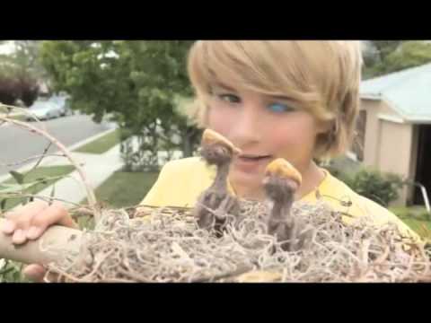 Gushers Commercial Collection