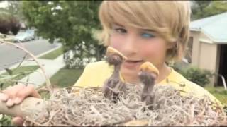 Gushers Commercial Collection