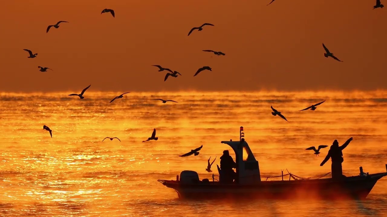 명선도 진하해수욕장  2026년1월4일