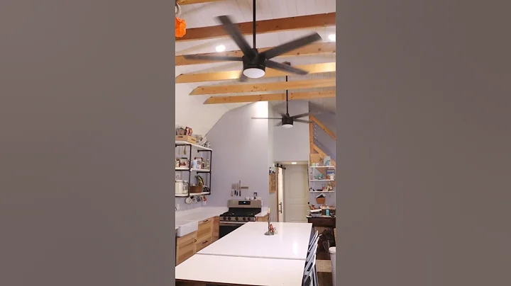 Shed to Tiny House Conversion to BECOME DEBT FREE!  #tinyhouse #tinyhome #shedtohouse