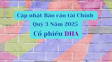 Cập nhật Báo cáo tài chính Quý 3 Năm 2025 của cổ phiếu DHA