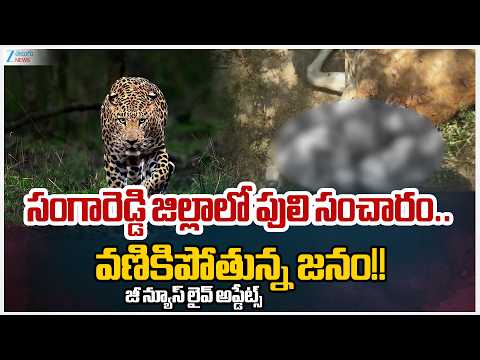 Leopard Spotted in Kazipally Forest Area of Sangareddy District | Zee Telugu News - ZEE24TELUGUNEWS
