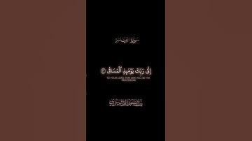 سورة القيامة | الأية 26-30 | القارئ ياسر الدوسري #quran #اكسبلور