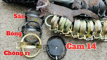 Báo giá 3 mẫu bẫy cạm kiềng 14cm - bẫy kẹp bẫy chồn dành cho ae chuyên nghiệp nhất