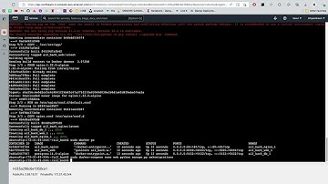Docker   EC2 4 docker compose로 서버 실행