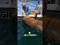 Giant Grouper Swallows Shark, Fishermen Face Terrifying Ocean Battle 😨🌊🎣 #shorts