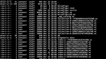 Starting MongoDB and connecting with Mongo client cs5610o sp20 12102