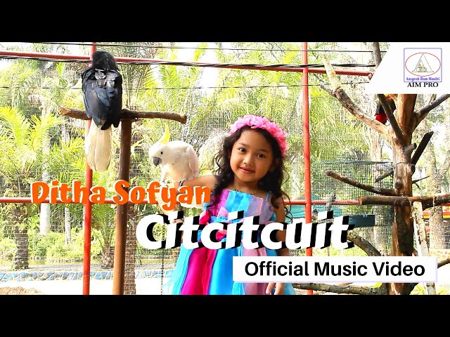 CICITCUIT  Ditha Sofyan (Official Music Video) class=