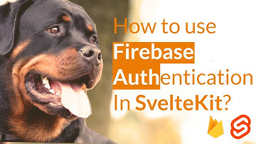 Introduction to SvelteKit and Firebase Auth in our project