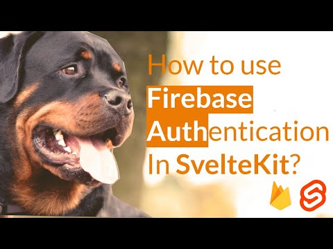 Introduction to SvelteKit and Firebase Auth in our project