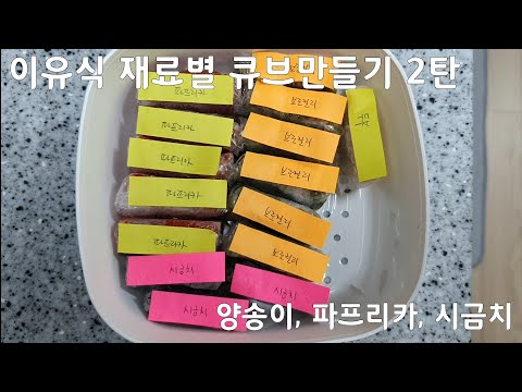 [육아vlog] 이유식 재료별 큐브만들기 2탄