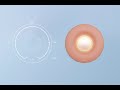 Bloom Light and touch interaction