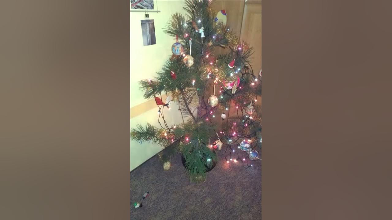 Hässlicher Weihnachtsbaum YouTube
