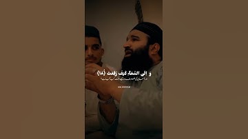 أَفَلَا يَنظُرُونَ إِلَى الْإِبِلِ كَيْفَ خُلِقَتْ﴾[ سورة الغاشية: 17]