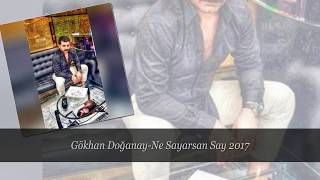Gökhan Doğanay-Ne Sayarsan Say 2017