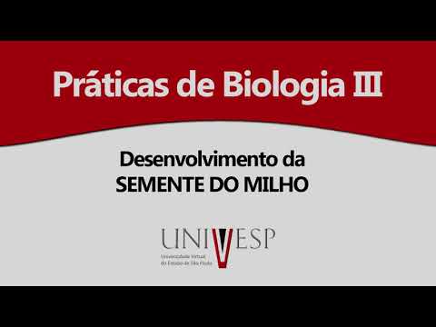 Vídeo: Como uma folha dicotiledônea é adaptada para a troca gasosa?