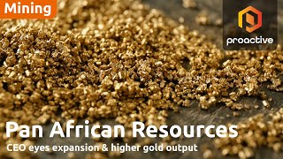Pan African Resources CEO on big growth catalysts; affirms FY25 production guidance