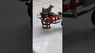 motorizada com backfire #automobile #grau5 #grau #244 #memes #dog #bicicleta #motorizada #backfire