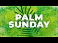Hail the King (Palm Sunday)