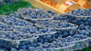 Низкокалорийные продукты для похудения Низкокалорийные продукты для похудения
