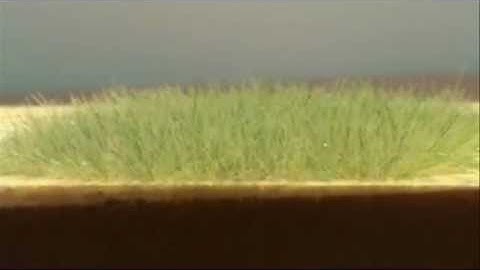 GrassTech II - Static Grass Applicator