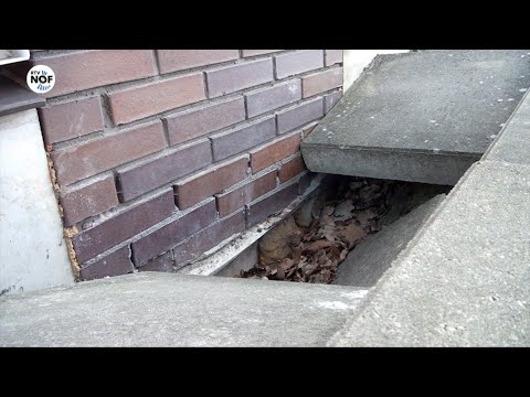 Verzakkingen De Wingerd na 10 jaar eindelijk aangepakt