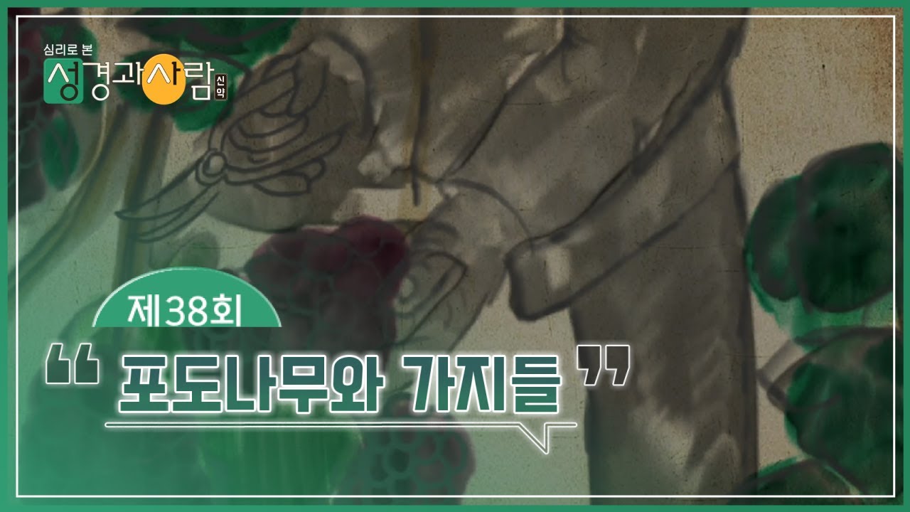 (38회) 포도나무와 가지들🍇 | 성경과 사람(신약)  | 최현정MC & 이나미박사