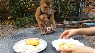 Dodo Hugging Newborn Moly Very Sweet To Wait Mom Feed Fruit