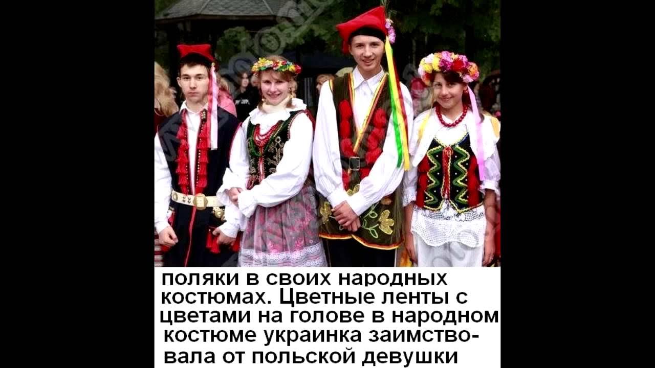 Сообщение о народе поляки. К кому относятся поляки. К кому относятся поляки. К кому относятся поляки. Как поляки относятся к украинцам.
