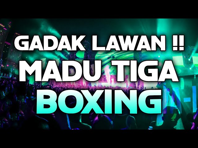 GAK ADA LAWAN KALO INI !!! DJ MADU TIGA VIRAL 2024 FULL BASS DJ BOXING MEDAN BASS BETON class=