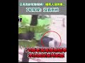 高齡駕駛事故