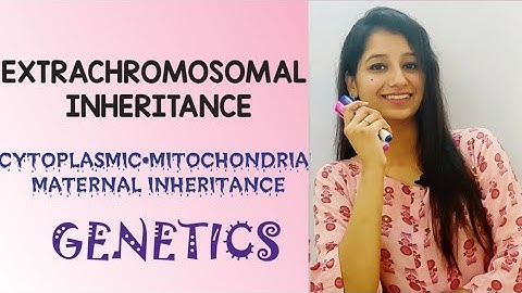Extra Chromosomal Inheritance|Cytoplasmic inheritance|Chloroplast•mitochondrial•maternal inheritance