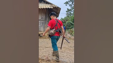 cùng nhau đi bảo vệ gà rừng thôi ae ơi.lo rog kuv peb mus zov luj nab ram teb nawb