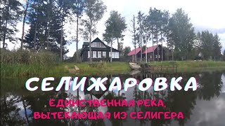 Река Селижаровка. Единственная река, вытекающая из Селигера.