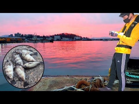 ☆특별한 채비법☆액션 노하우☆ 의외의 곳에서 폭풍입질이!! 😲 Rockfishing