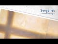 [PT-BR/PORTUGU&Ecirc;S] Homecomings - Songbirds