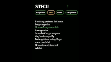 Thumbnail of Lirik Lagu "Stecu"