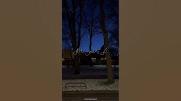 نشيد كفى يا نفس ما كان 