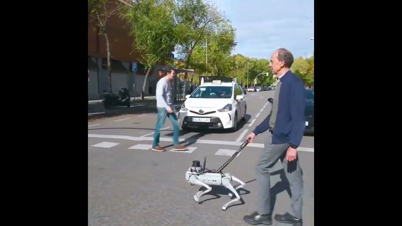 Así es Tefi, el robot español que funciona como perro guía para